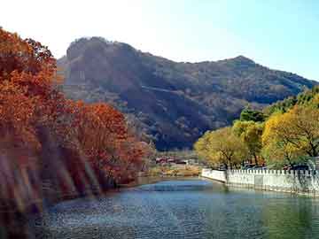 正版澳门天天开彩大全，岩峰湿喷机